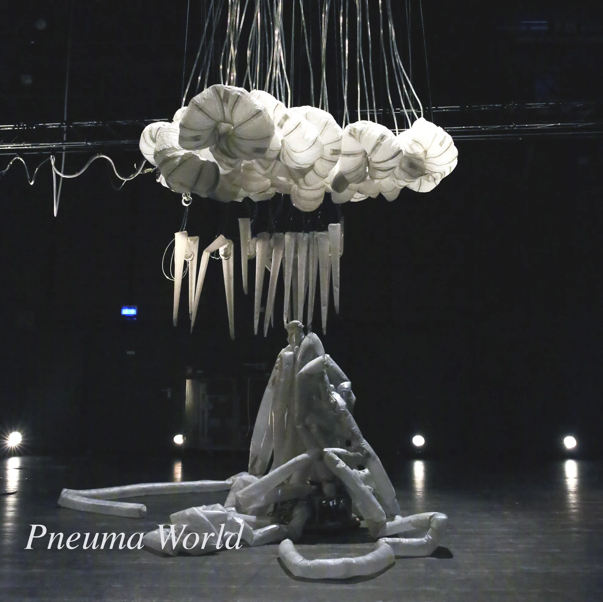 Caroussel+image+Pneuma+World.